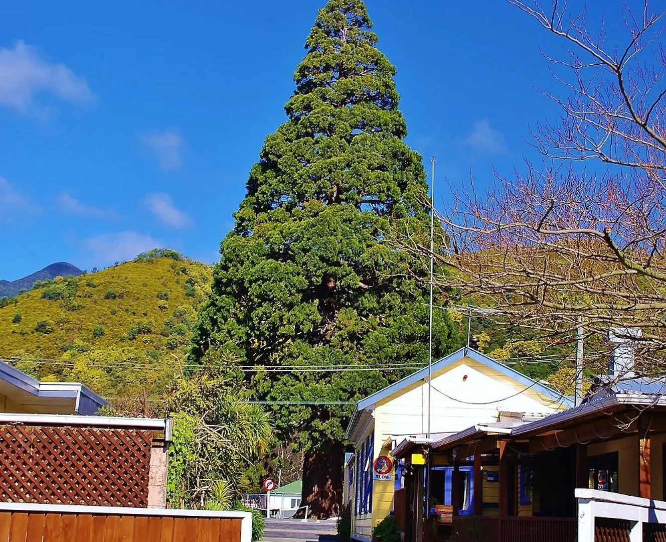 Sequoia alojamiento Backpackers Picton 0*,